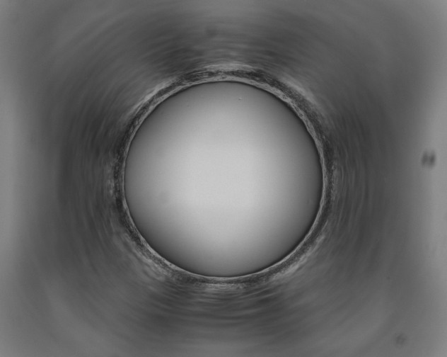 X0000093241305200709261522