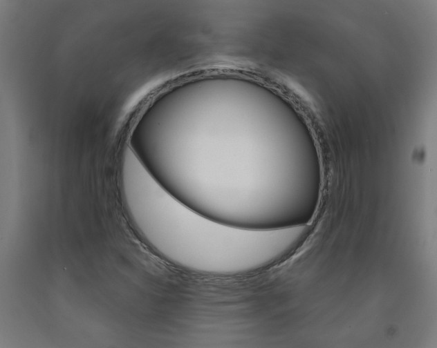 X0000093241310200709261522