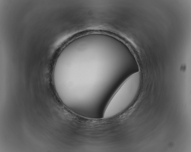 X0000093241311200709261522