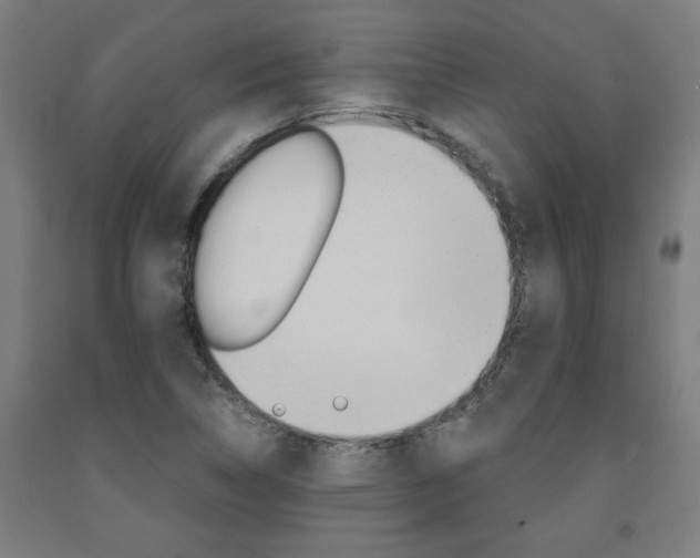 X0000093241314200709261522