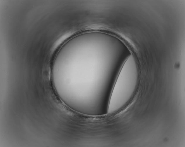 X0000093241317200709261522