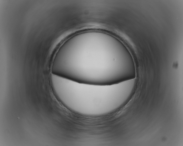 X0000093241318200709261522
