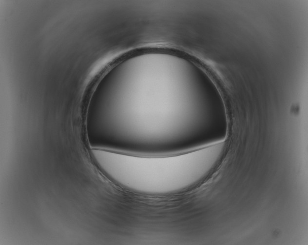X0000093241319200709261522