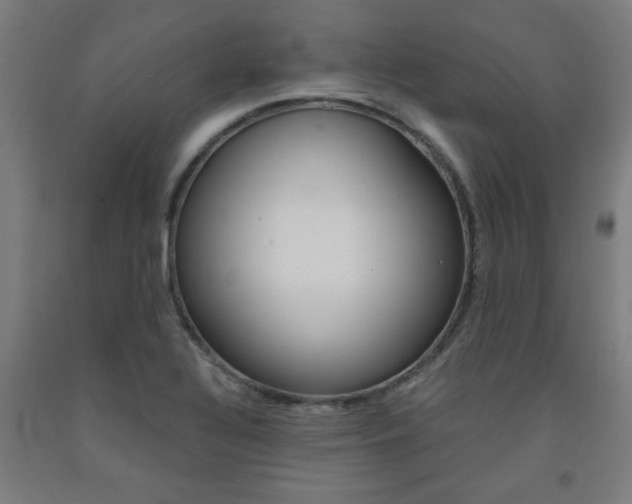 X0000093241320200709261522