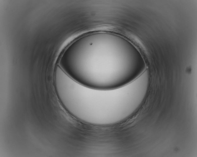 X0000093241324200709261522