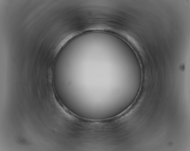 X0000093241329200709261522
