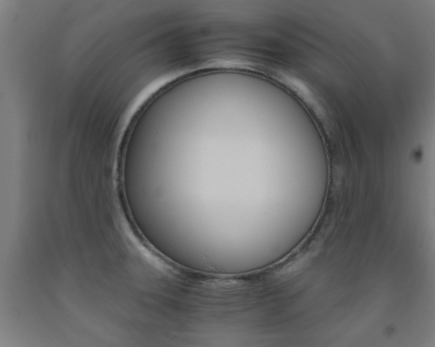 X0000093241331200709261522