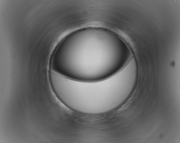 X0000093241334200709261522
