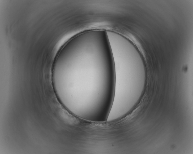 X0000093241336200709261522