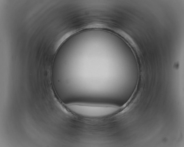 X0000093241337200709261522