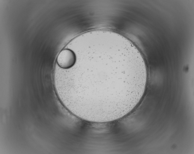 X0000093241338200709261522
