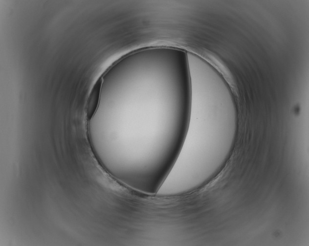 X0000093241340200709261522
