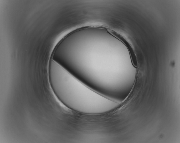 X0000093241343200709261522