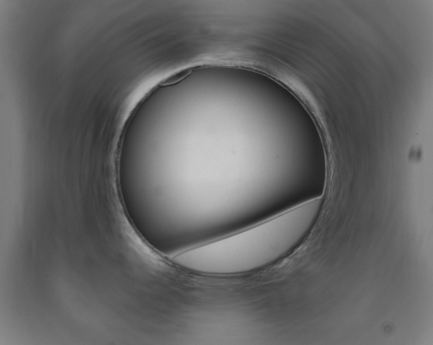 X0000093241344200709261522