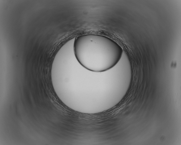 X0000093241348200709261522