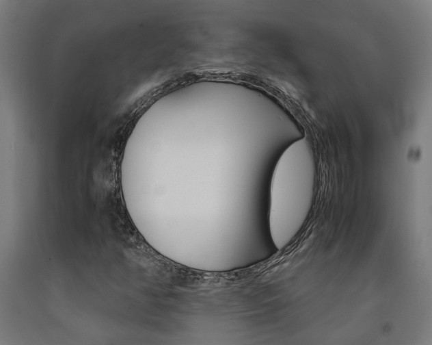 X0000093241350200709261522