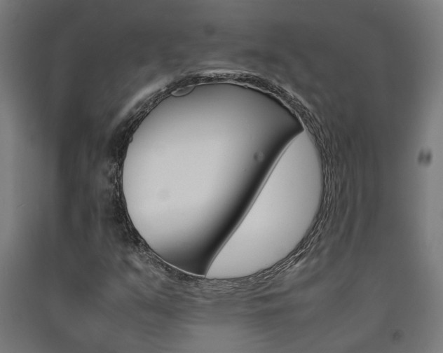 X0000093241351200709261521