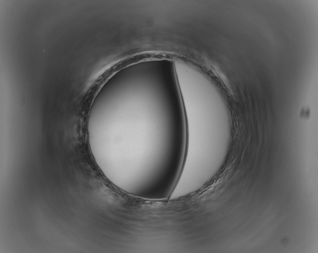 X0000093241352200709261521