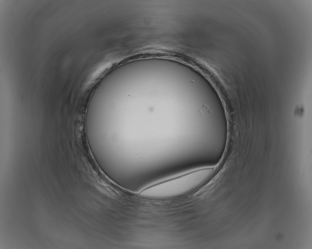 X0000093241355200709261521