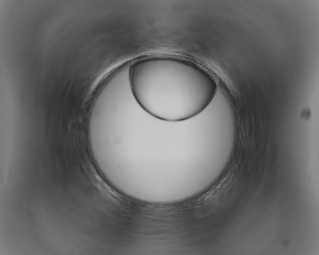 X0000093241356200709261521