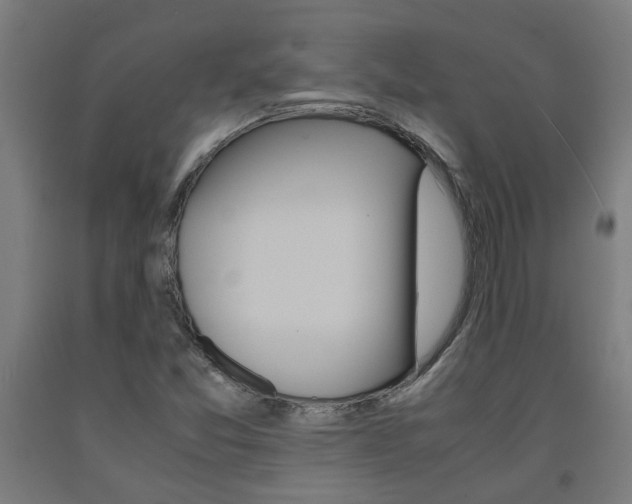 X0000093241357200709261521