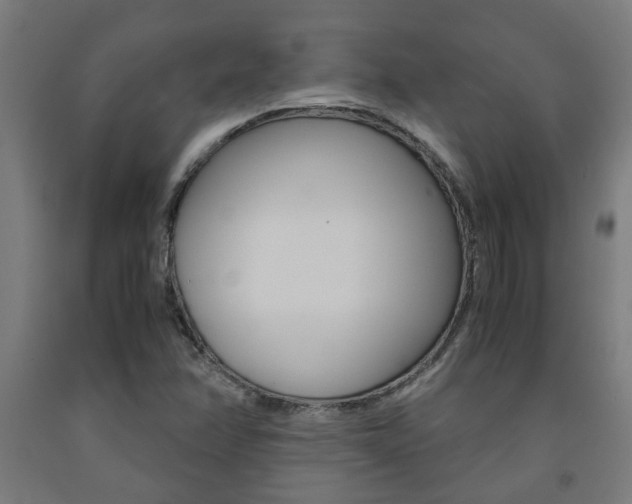 X0000093241358200709261521