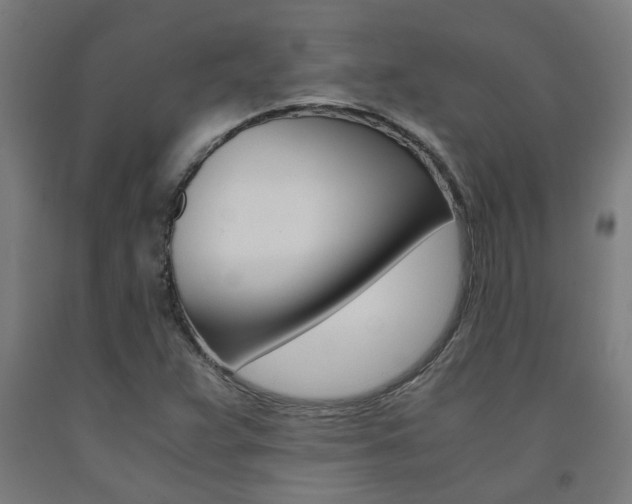 X0000093241359200709261521