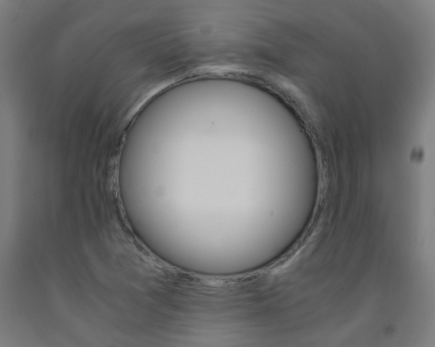 X0000093241361200709261521