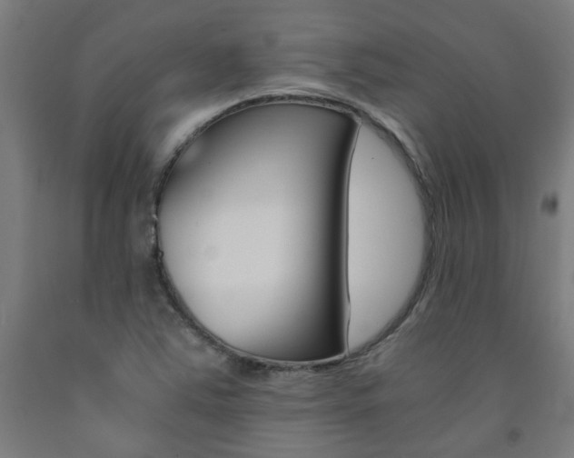 X0000093241363200709261521