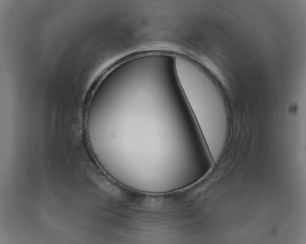 X0000093241364200709261521