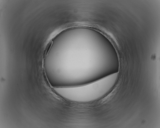 X0000093241365200709261521