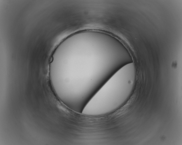 X0000093241366200709261521