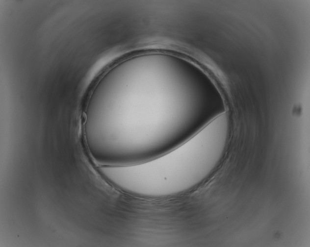 X0000093241368200709261521