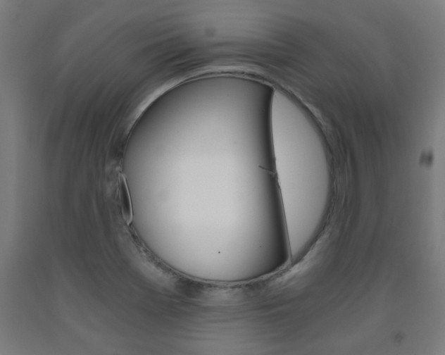 X0000093241369200709261521