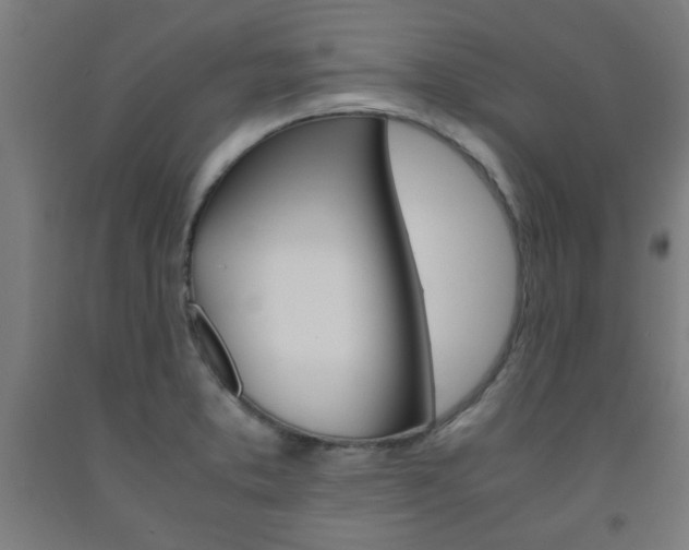 X0000093241373200709261521