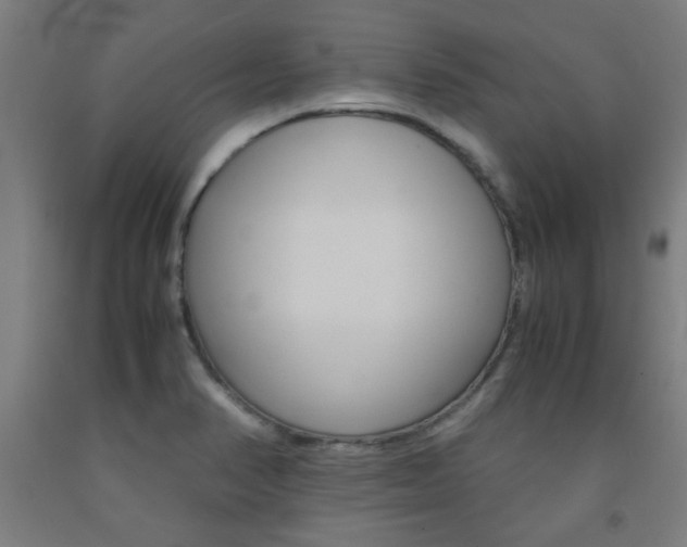 X0000093241374200709261521