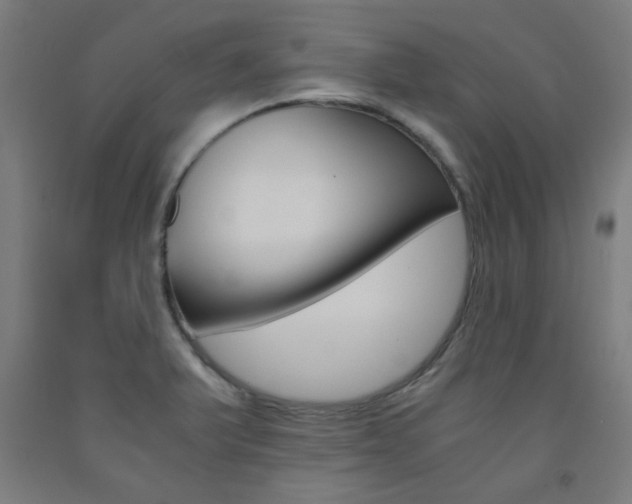X0000093241375200709261521