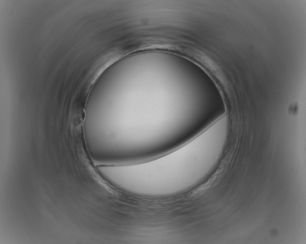 X0000093241377200709261521