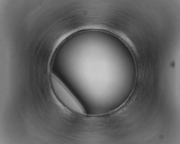 X0000093241380200709261521