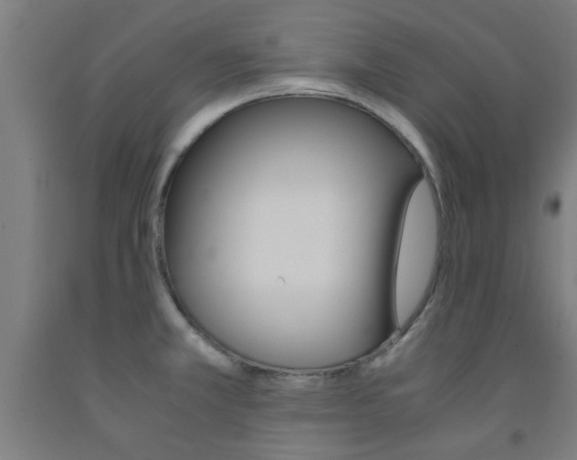 X0000093241381200709261521