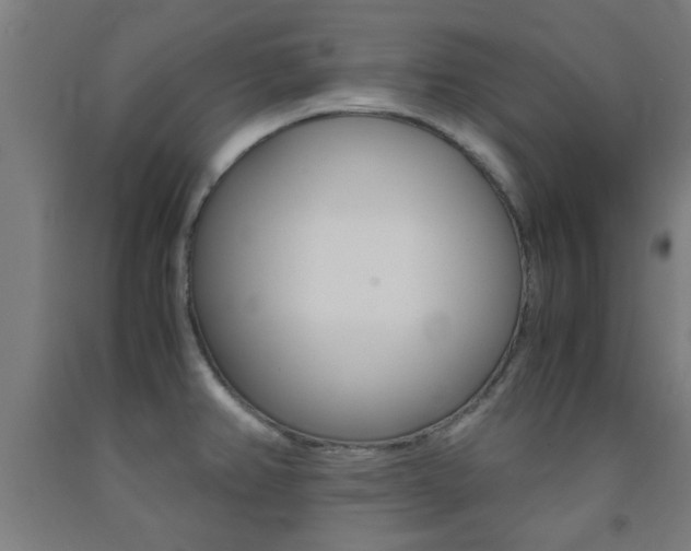 X0000093241382200709261521