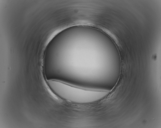 X0000093241383200709261521
