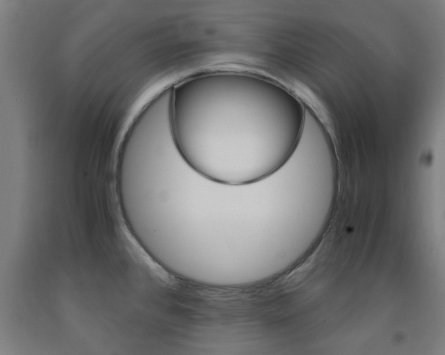 X0000093241384200709261521