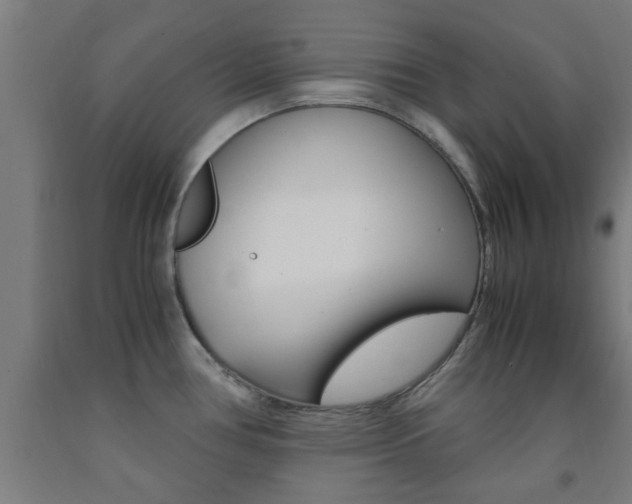 X0000093241386200709261521