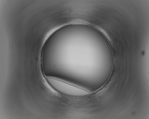 X0000093241387200709261521