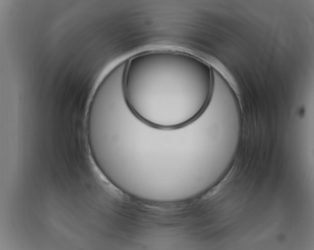 X0000093241388200709261521