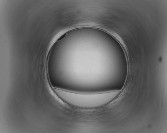X0000093241389200709261521