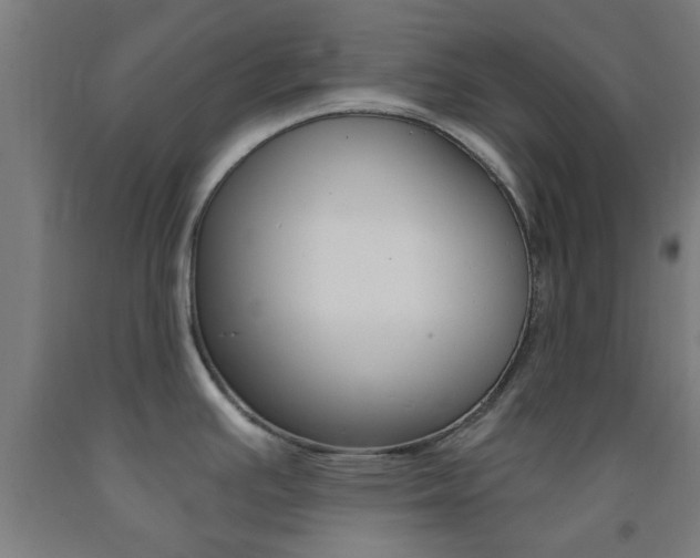X0000093241391200709261521