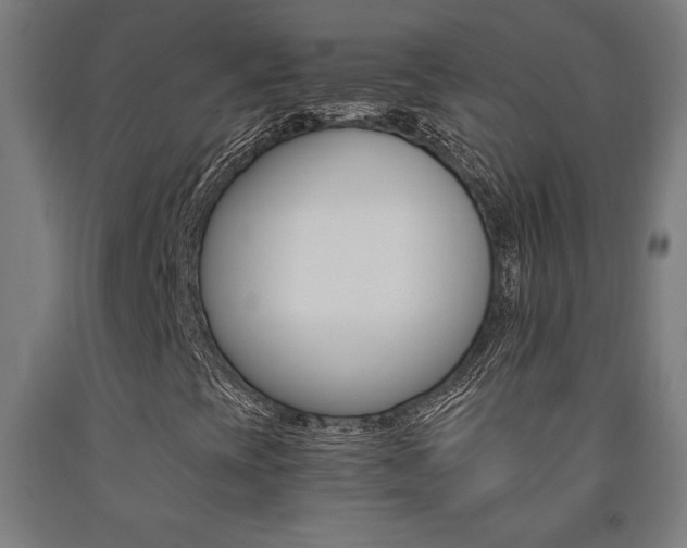 X0000093241393200709261520