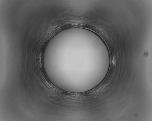 X0000093241396200709261520